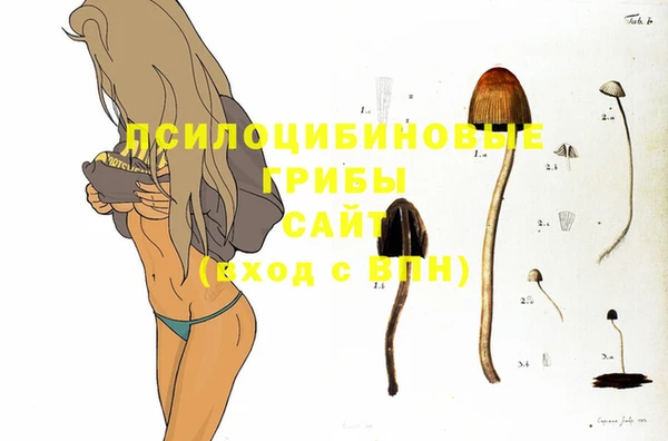 прущий лед Балабаново