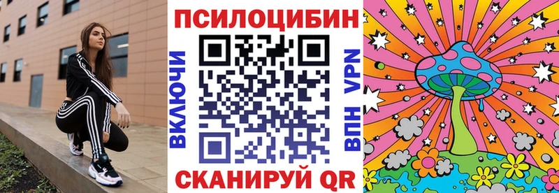 Псилоцибиновые грибы GOLDEN TEACHER  где купить наркоту  Шиханы 