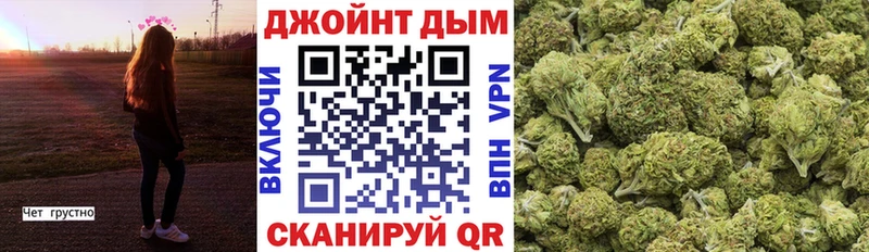 Конопля гибрид  Шиханы 